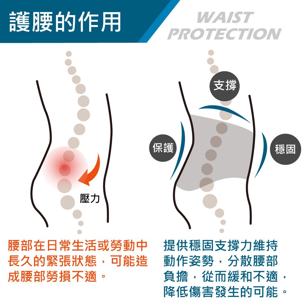 護腰的作用壓力WAISTPROTECTION支撐保護穩固腰部在日常生活或勞動中長久的緊張狀態,可能造成腰部勞損不適。提供穩固支撐力維持動作姿勢,分散腰部負擔,從而緩和不適,降低傷害發生的可能。