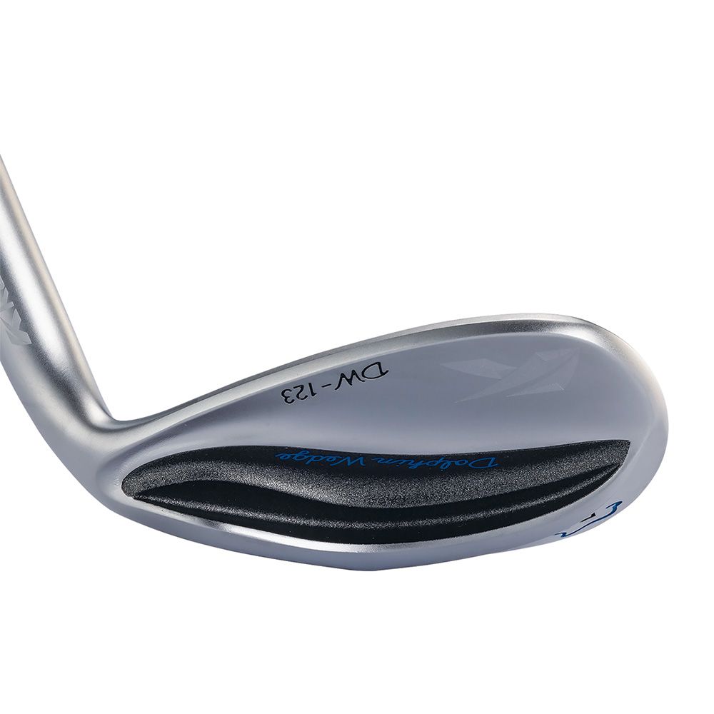 Caiyi 凱溢 Kasco Dolphin Wedge DW-123 ,鐵身NSPRO 950GH neo(日規)銀色挖起桿