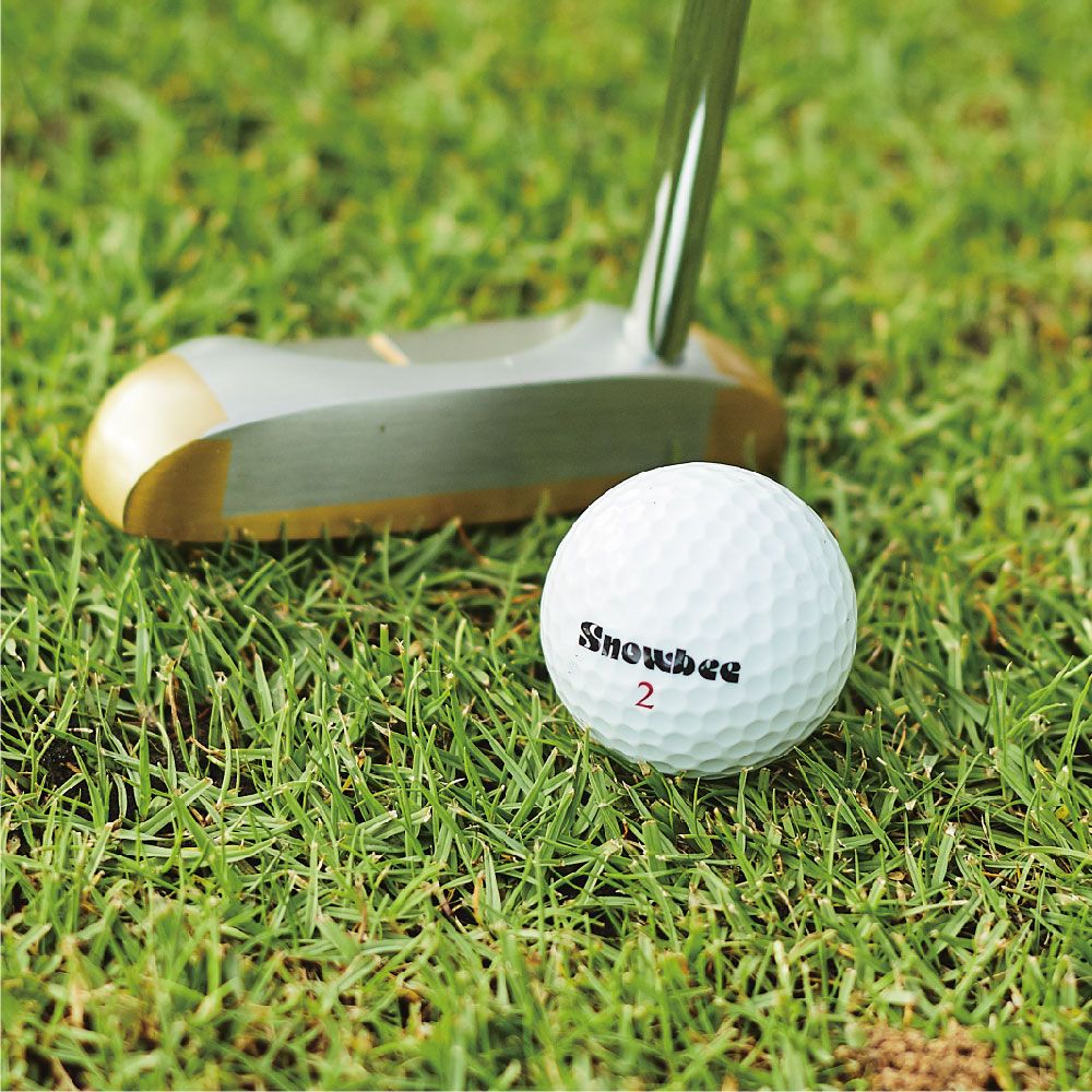 Snowbee 司諾比 Golf Tour Plus 3-piece 三層球 白球(高爾夫球  高球)