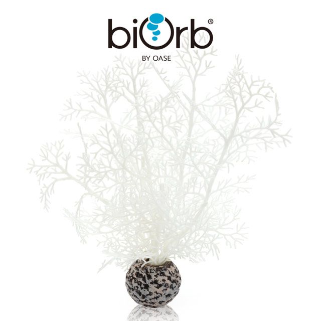 OASE 歐亞瑟  biOrb 仿真白色軟珊瑚(小)