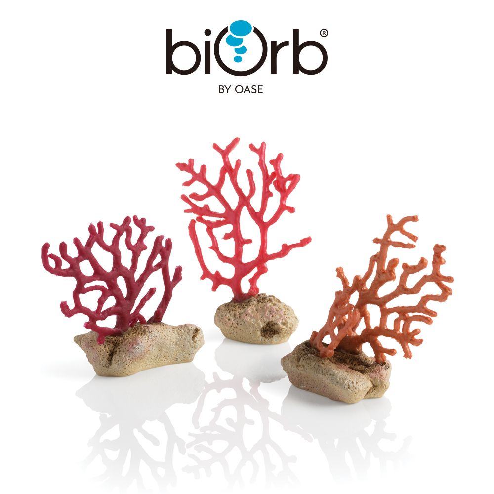 OASE 歐亞瑟  biOrb 仿真軟珊瑚組