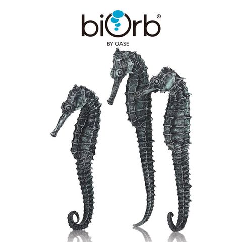 OASE 歐亞瑟 biOrb 海馬造型裝飾3入組(金屬黑)