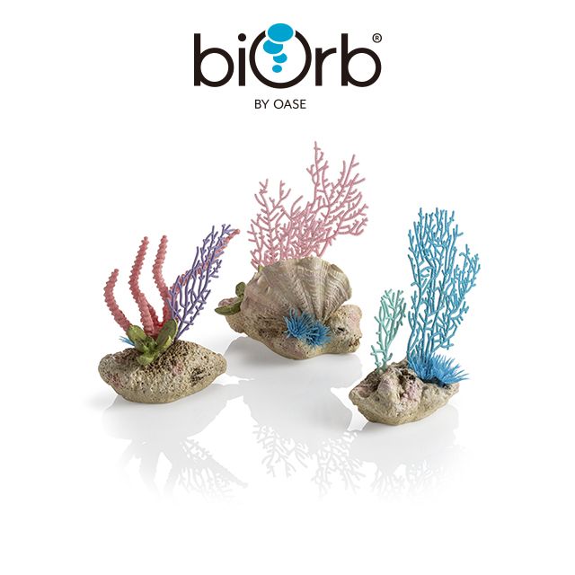 OASE 歐亞瑟  biOrb珊瑚扇與貝殼組