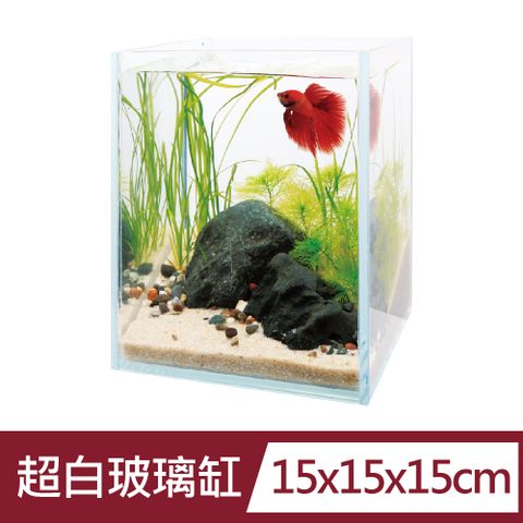 ISTA 伊士達 15cm 超白小型缸-適合鬥魚小型魚