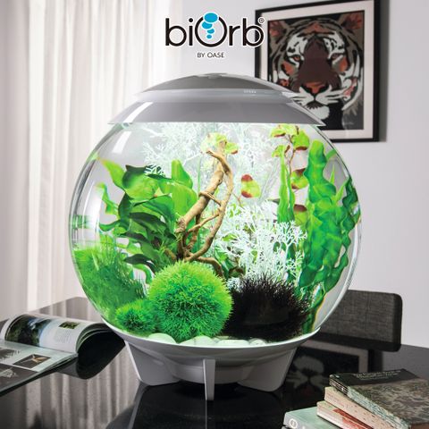 OASE biOrb HALO 光環套缸 (60公升)