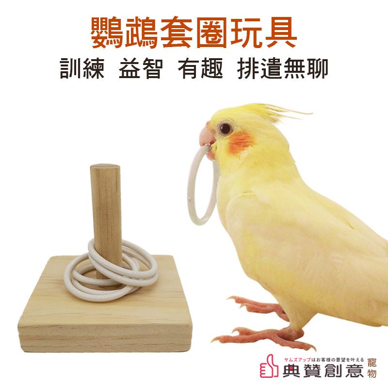  鸚鵡套圈益智趣味玩具訓練益智趣味排遣無聊