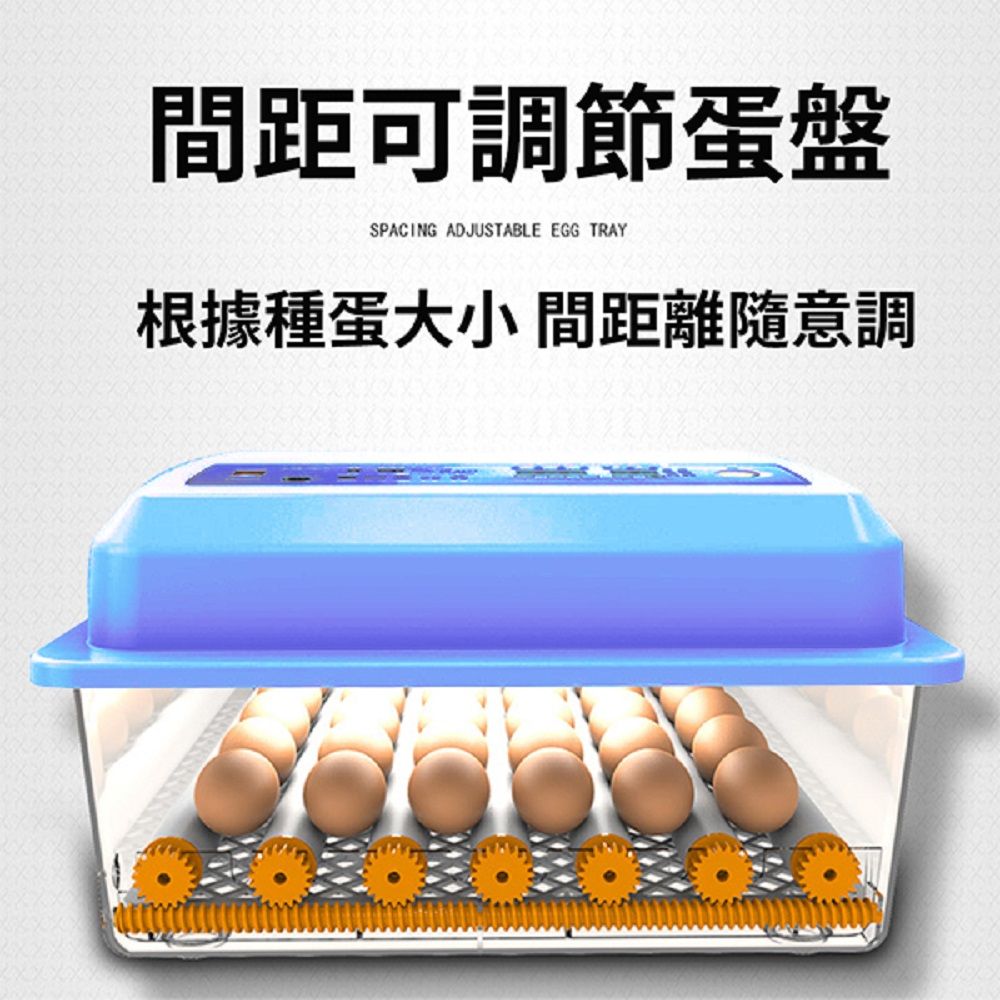 110V孵化機 孵蛋器36枚孵蛋機 雙電源可接12V 全自動控溫雞鴨鳥蛋家禽全自動孵蛋箱