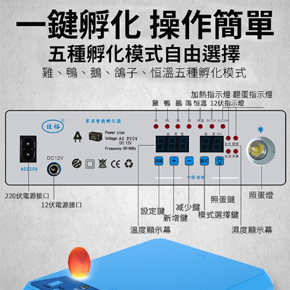  110V孵化機 孵蛋器36枚孵蛋機 雙電源可接12V 全自動控溫雞鴨鳥蛋家禽全自動孵蛋箱