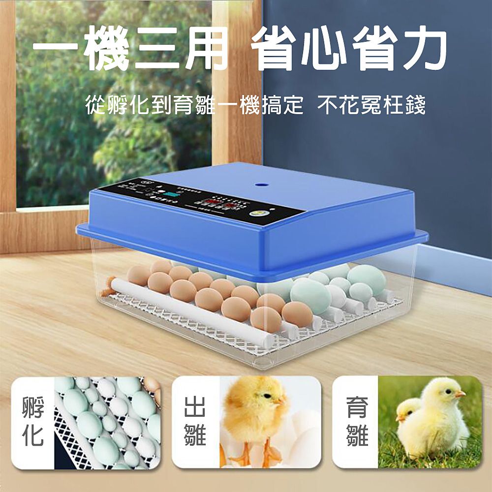  JIAYU 佳裕 64枚孵蛋器/孵化機 暖風循環 智能控溫