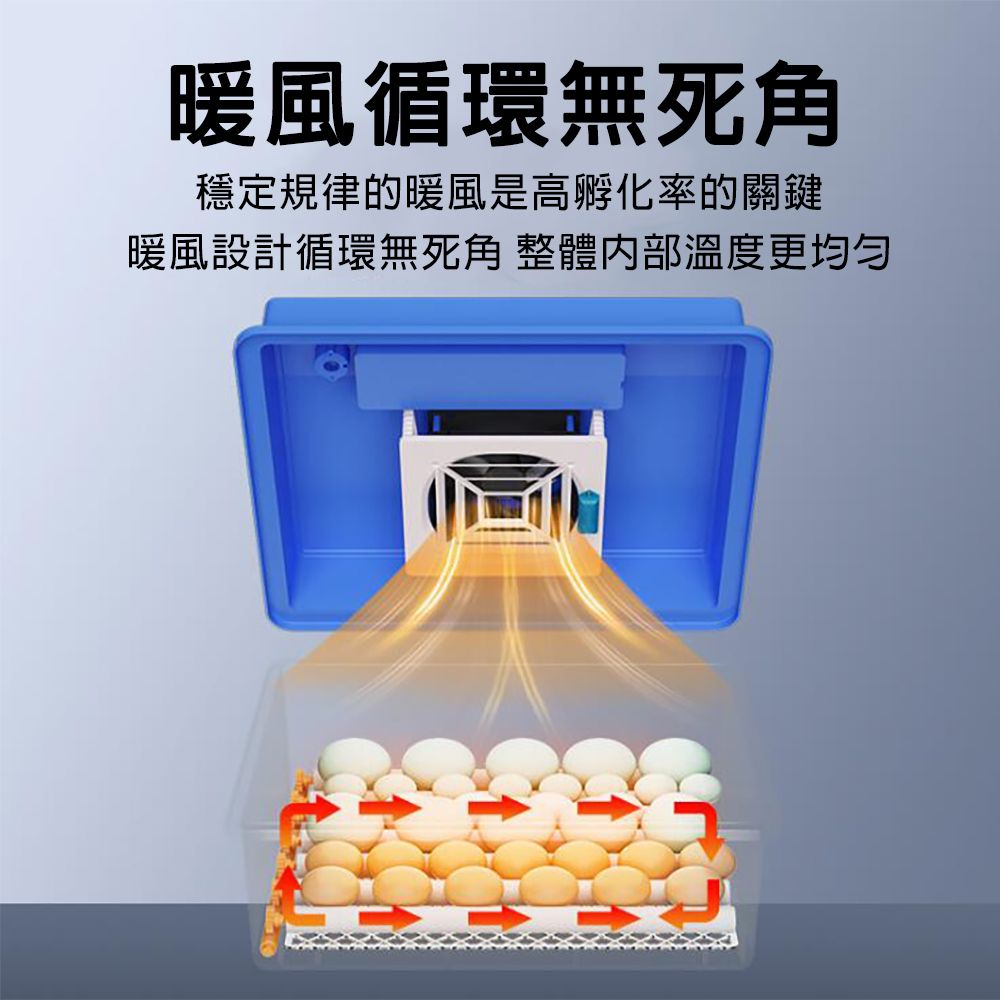  JIAYU 佳裕 64枚孵蛋器/孵化機 暖風循環 智能控溫