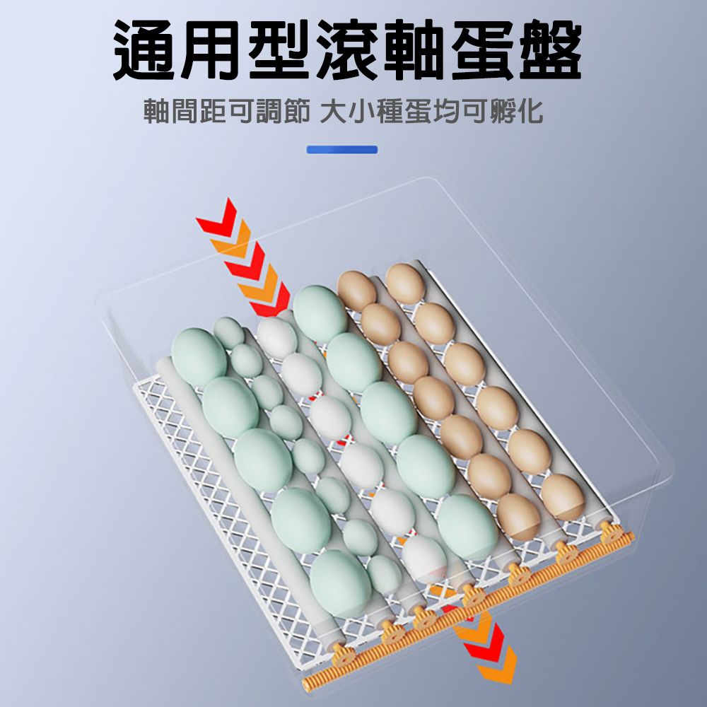  JIAYU 佳裕 64枚孵蛋器/孵化機 暖風循環 智能控溫