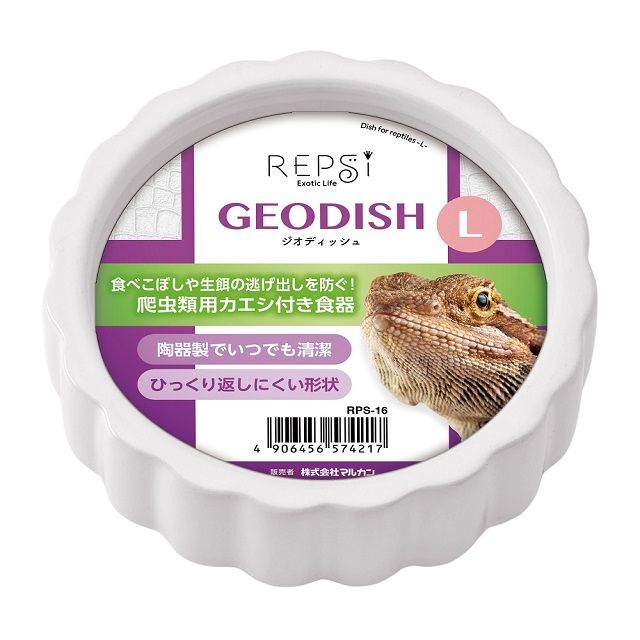 Nisso 蜥蜴守宮專用餌食盤 GEODISH L