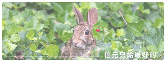 信元只給最好的