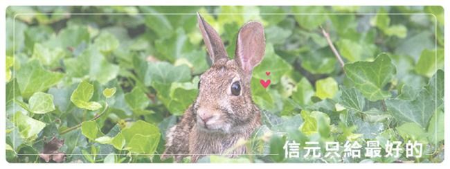 信元只給最好的