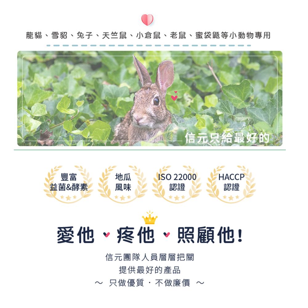 SINGEN 信元發育寶 SINGEN 信元發育寶 全方面基礎補充營養配方-兔子倉鼠雪貂皆適用 香蕉風味 互動營養膏