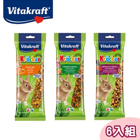 Vitakraft 【6包組】兔子點心棒棒糖(蜂蜜/蔬菜/野莓)單包2入