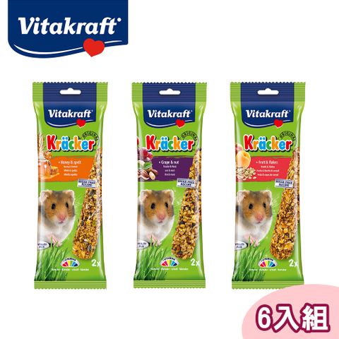 Vitakraft 【6包組】大頰鼠點心棒棒糖/鼠用零食/天竺鼠零食(蜂蜜/花生堅果/水果百匯)單包2入