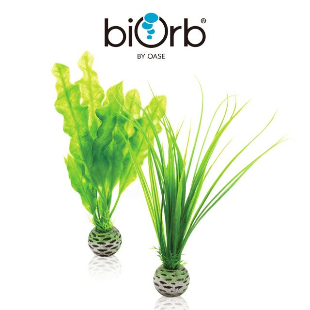 OASE 歐亞瑟  biOrb 綠色仿真植栽組(小)