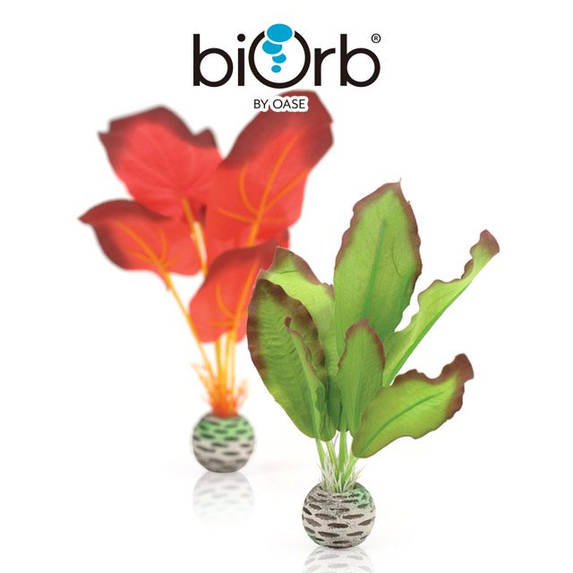 OASE 歐亞瑟  biOrb 小型仿真植物(綠&紅)