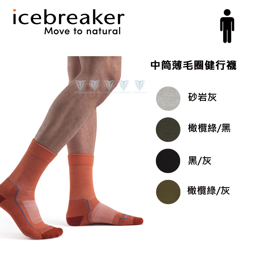 icebreaker IB105103 男 Hike+ 中筒薄毛圈健行襪