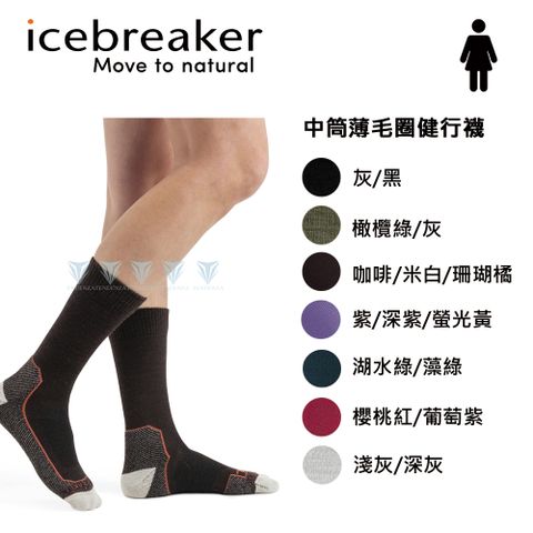 icebreaker IB105099 女 Hike+中筒薄毛圈健行襪