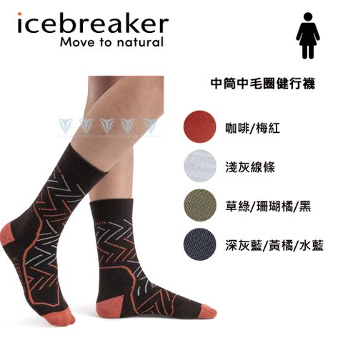 icebreaker IB104437 女 中筒中毛圈健行襪