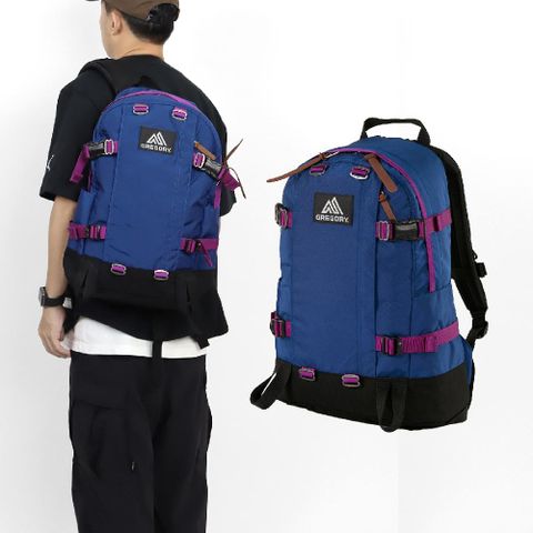 Gregory 後背包 22L ALL DAY V2.1 Backpack 藍 紫 CORDURA 抗撕裂 筆電包 1313651115