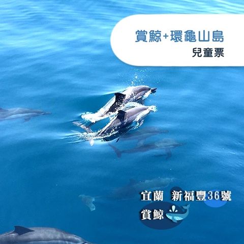 【宜蘭】新福豐36號賞鯨+環龜山島-兒童票