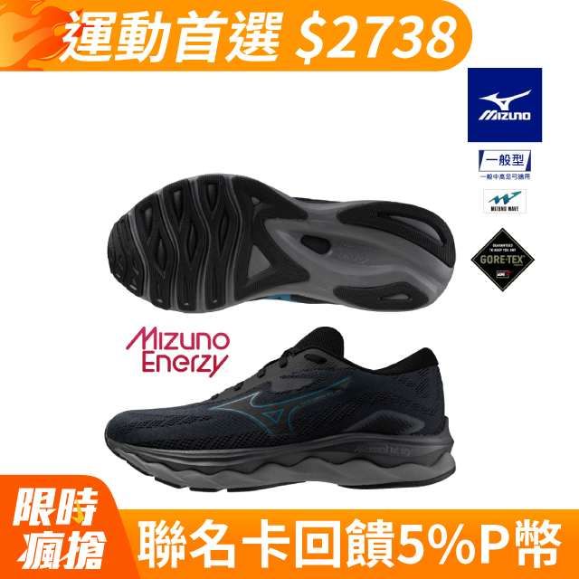 MIZUNO 美津濃 WAVE SERENE GTX 男款慢跑鞋 J1GC246001