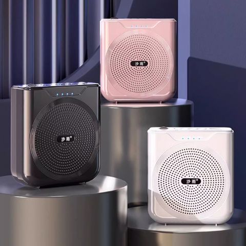 QLZHS 小蜜蜂麥克風教學擴音器