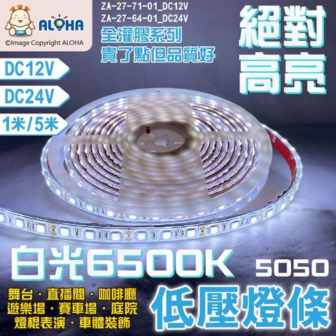 ALOHA 阿囉哈 5050全灌膠燈條-白光6500K-DC12V/24V-5米