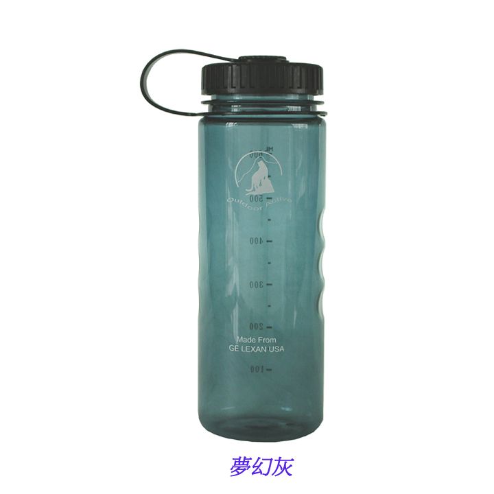 Outdoor Active OA山貓水壺-隨手瓶600CC.超值2入組! _W-600