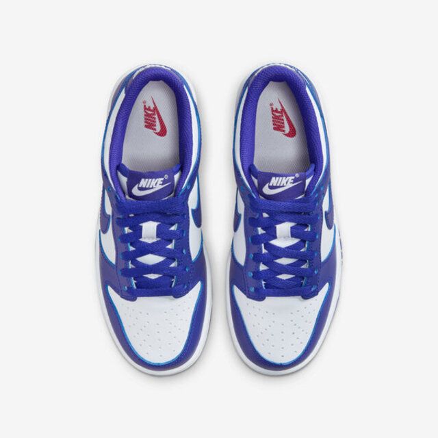 NIKE 耐吉  Dunk Low GS FB9109-106 大童 休閒鞋 運動 經典 低筒 舒適 穿搭 藍紫