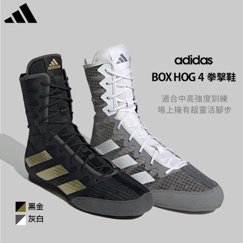 adidas Box Hog 4 拳擊鞋