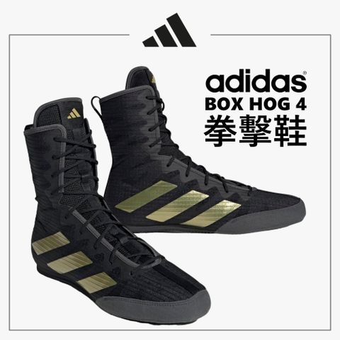 ADIDAS 愛迪達 Box Hog 4 拳擊鞋