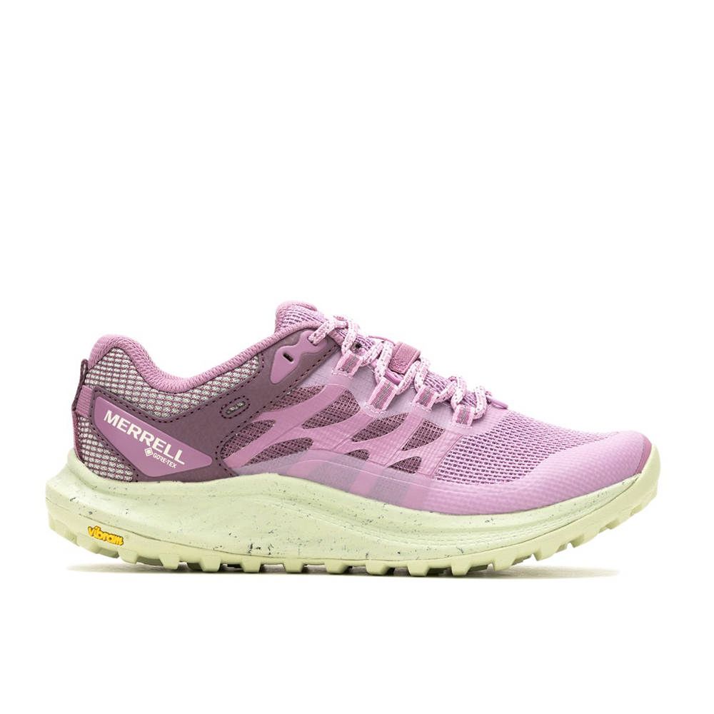 Merrell ANTORA 3 GORE-TEX 女 野跑鞋 丁香紫 ML068158