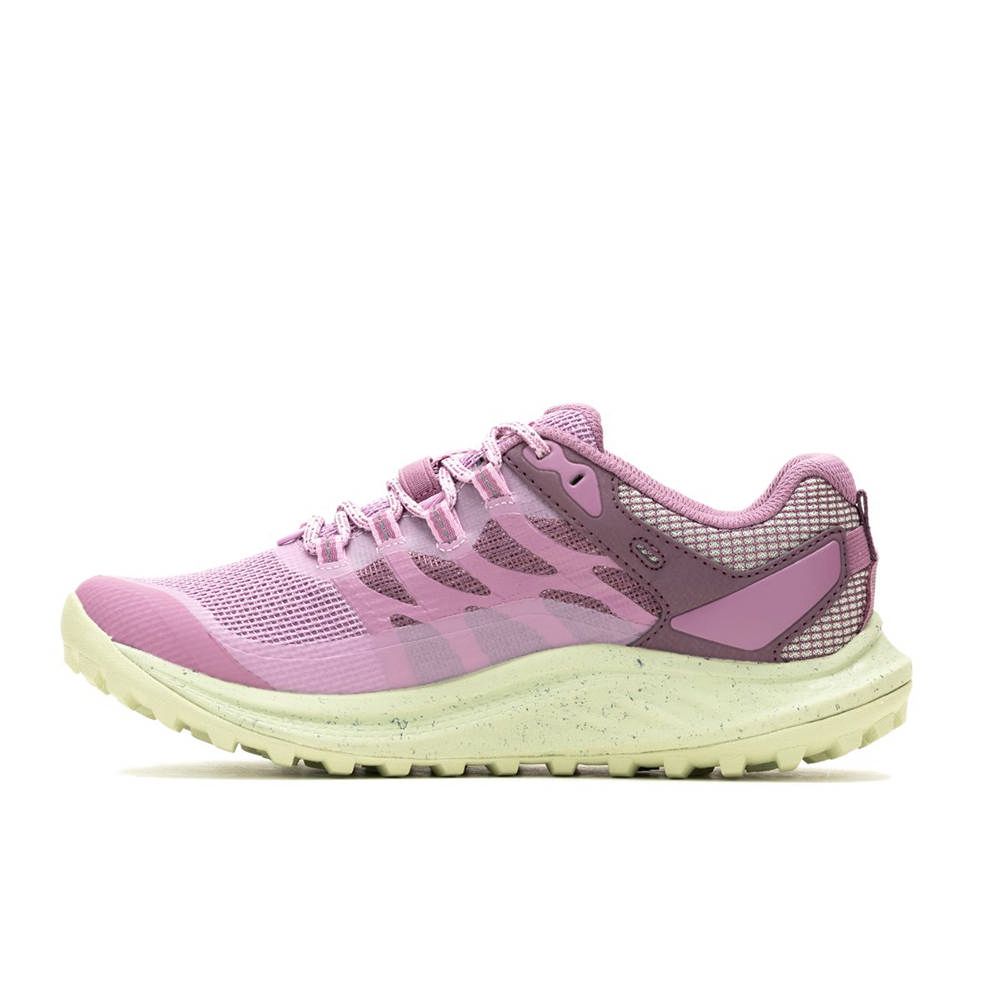 Merrell ANTORA 3 GORE-TEX 女 野跑鞋 丁香紫 ML068158