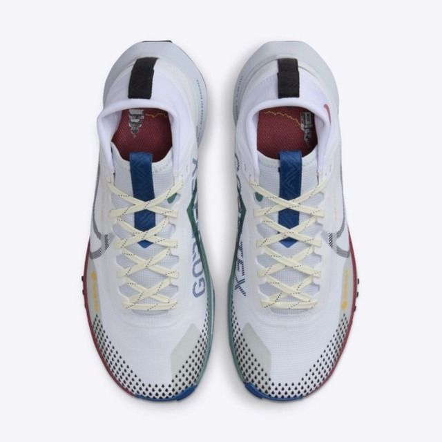NIKE 耐吉 Nike W React Pegasus Trail 4 GTX [DJ7929-102] 女 越野跑鞋 運動 防水 白