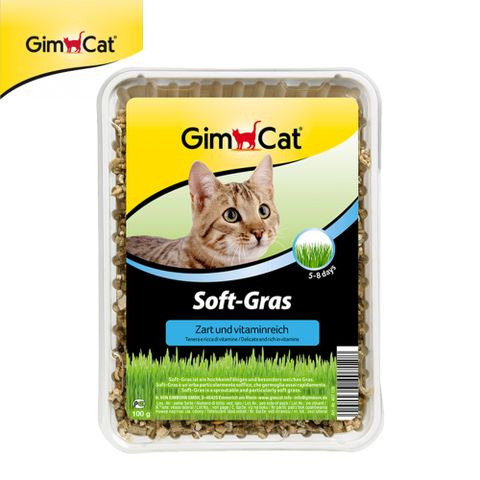 BEST BREED 貝斯比 【2盒】竣寶GimCat香味軟貓草(盒裝)150g