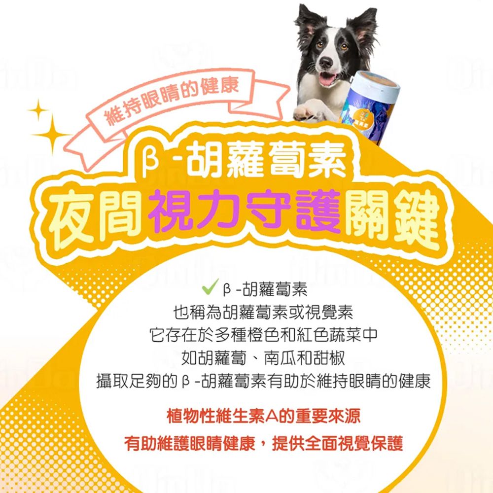 Mao One 毛萬 犬貓葉黃素粉70g