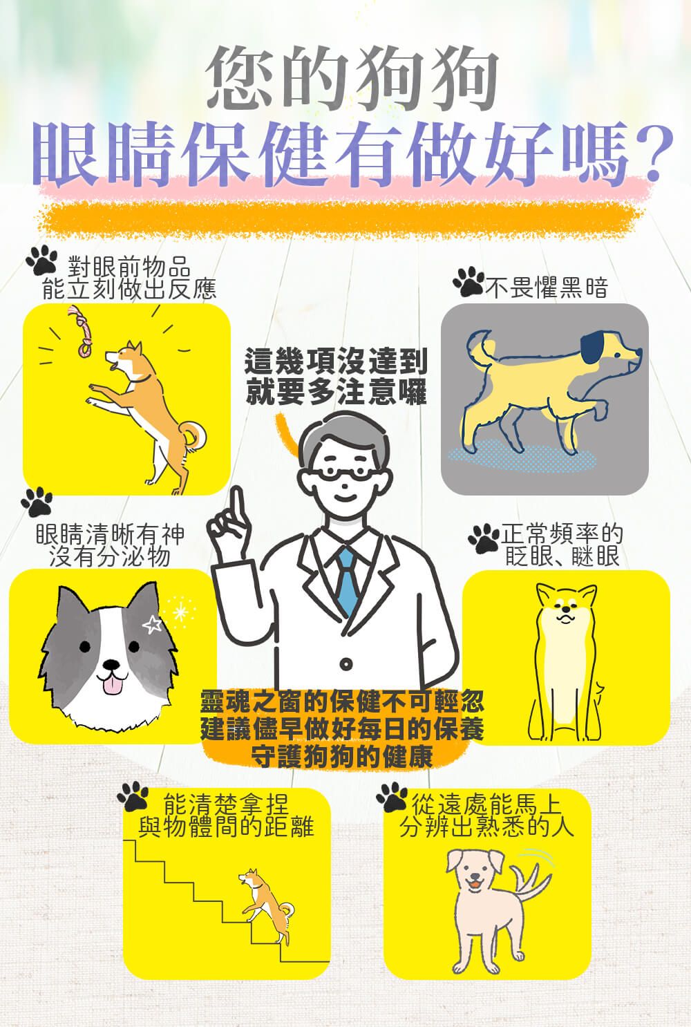 您的狗狗眼睛保健有做好嗎?對眼前物品能立刻做出反應這幾項沒達到就要多注意囉不畏懼黑暗眼睛清晰有神沒有分泌物靈魂之窗的保健不可輕忽建議儘早做好每日的保養守護狗狗的健康能清楚拿捏與物體間的距離正常頻率的眨眼瞇眼從遠處能馬上分辨出熟悉的人