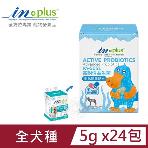 IN-Plus 犬用PA5051高耐性益生菌消化調理配方5克×24包 狗保健品 耐抗生素 耐胃酸 耐高溫專利菌