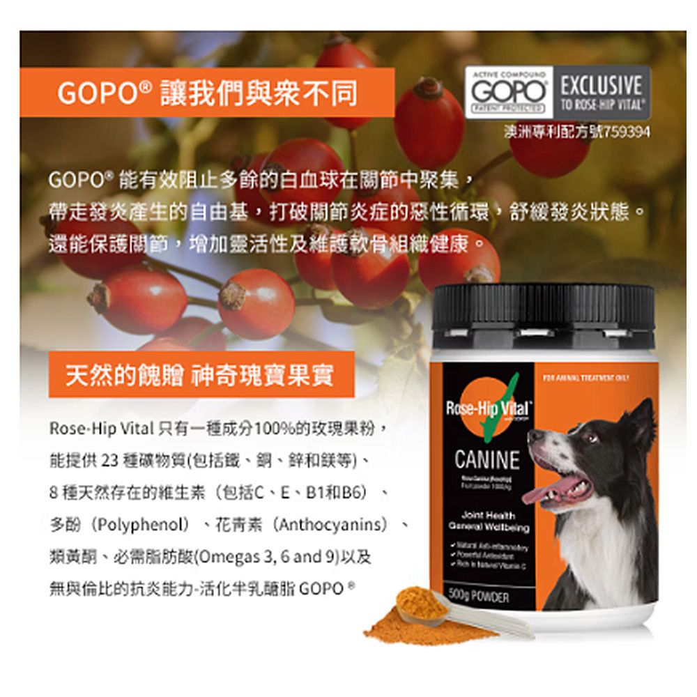 Rose-Hip Vital 澳寵瑰寶 寵物犬貓營養保健粉 150gx2罐/組 玫瑰果粉