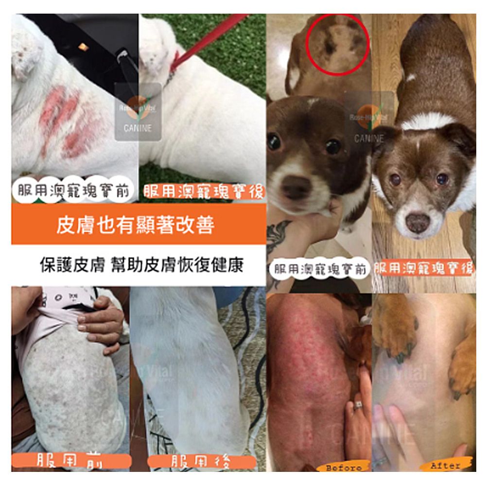 Rose-Hip Vital 澳寵瑰寶 寵物犬貓營養保健粉 150gx2罐/組 玫瑰果粉