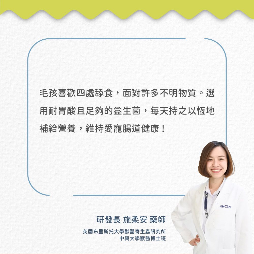 SINGEN 信元發育寶 貓用整腸益生菌-230g/罐(貓狗保健/腸胃健康/腸胃益生菌/貓咪保健)
