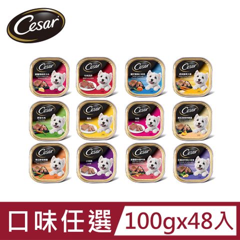 Cesar 西莎 精緻/風味餐盒 100g*48入 寵物/狗罐頭/狗食