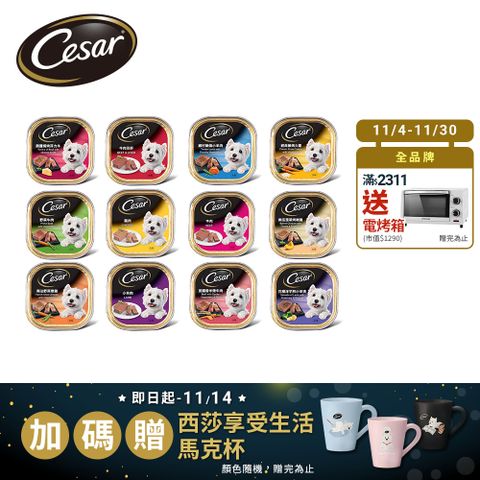 Cesar 西莎 精緻/風味餐盒 100g*48入 寵物/狗罐頭/狗食