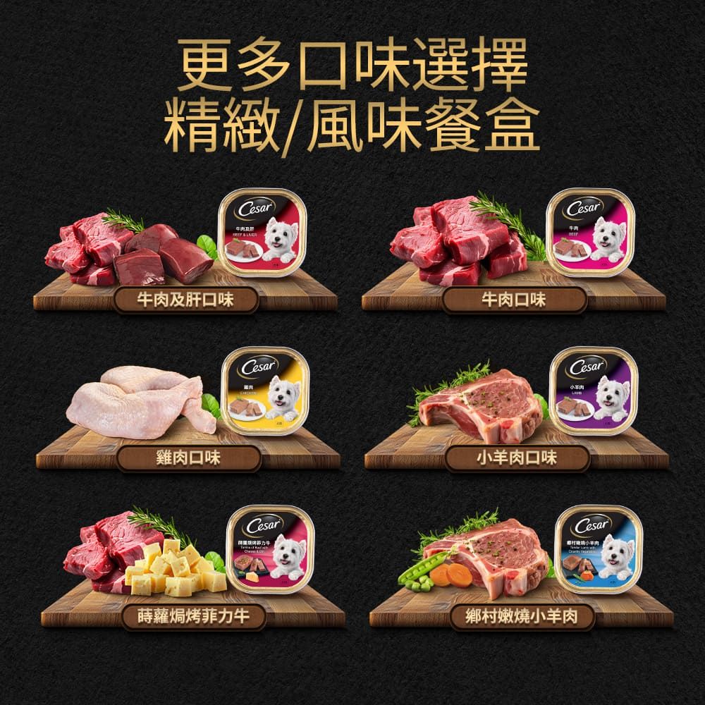 Cesar 西莎 精緻/風味餐盒 100g*48入 寵物/狗罐頭/狗食