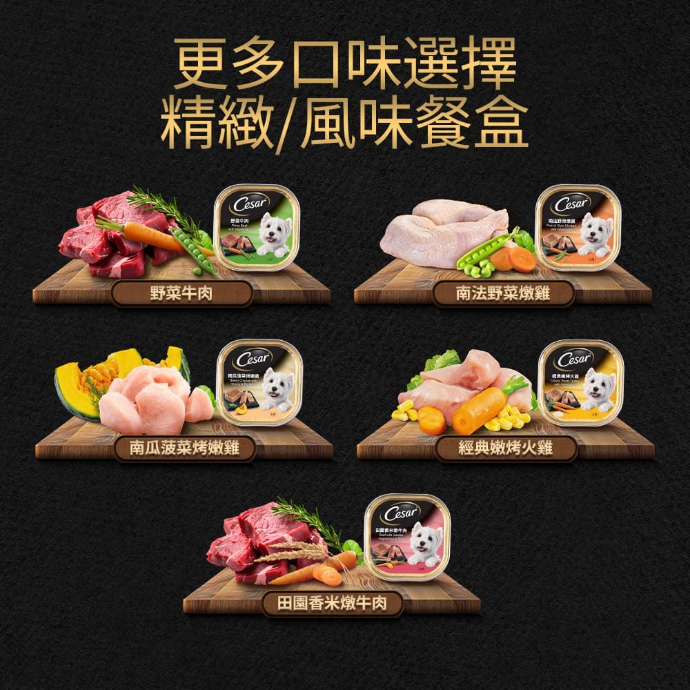 Cesar 西莎 精緻/風味餐盒 100g*48入 寵物/狗罐頭/狗食