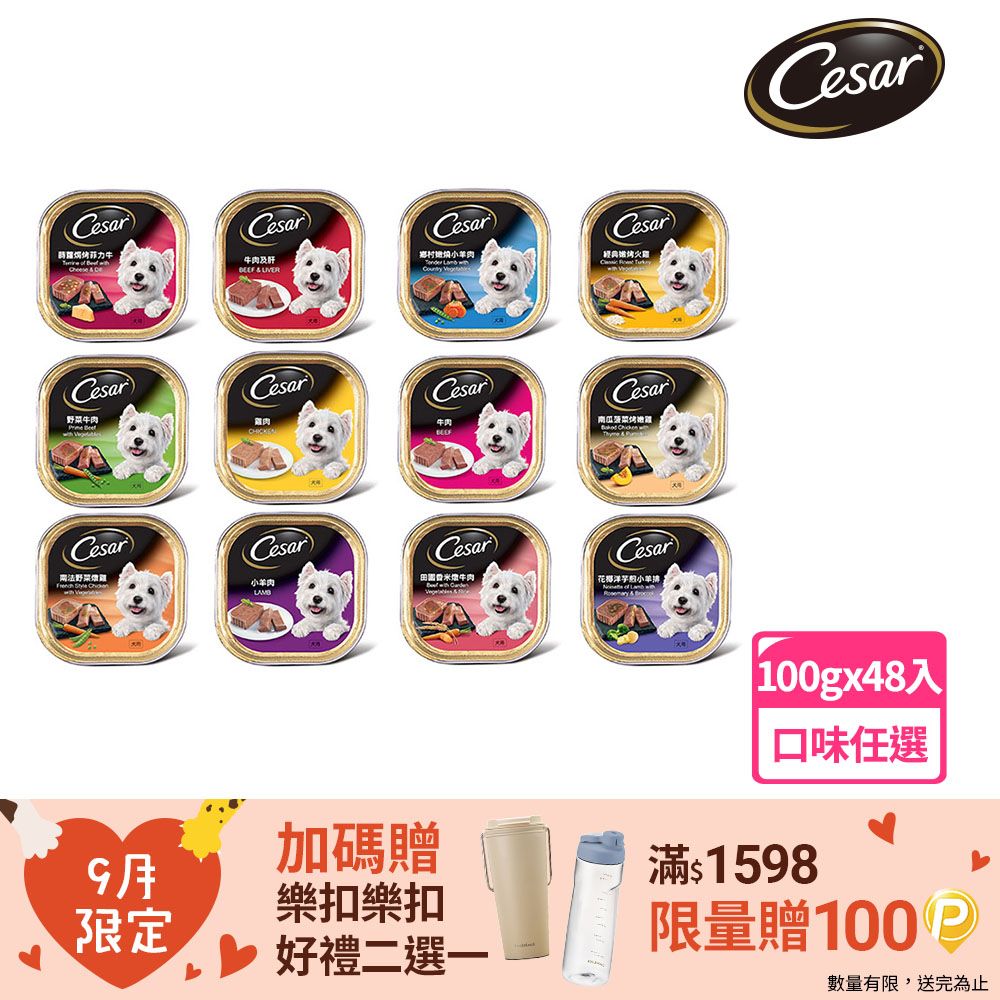 Cesar 西莎 精緻/風味餐盒 100g*48入 寵物/狗罐頭/狗食